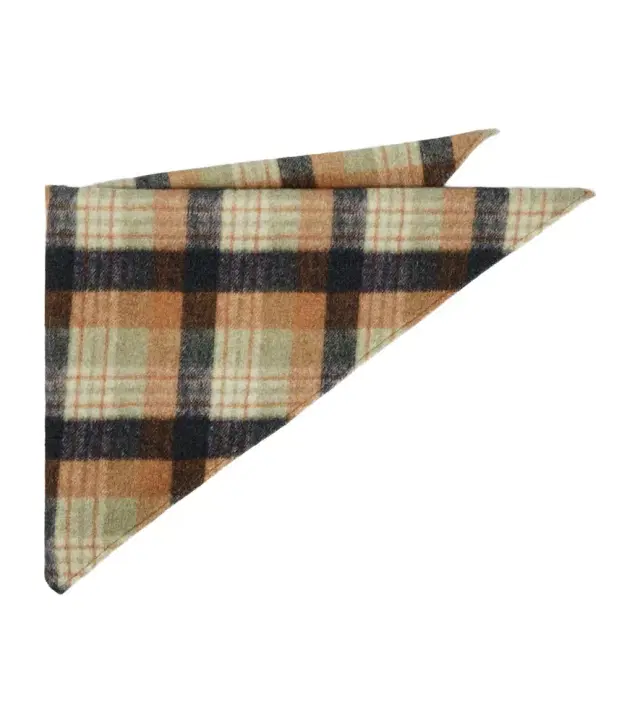 Dries Van Noten Checked wool scarf