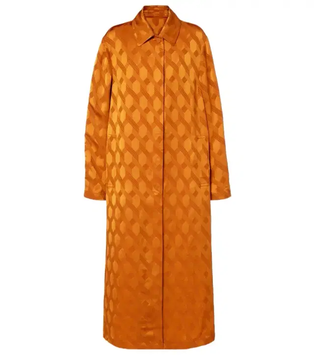 Dries Van Noten Printed coat