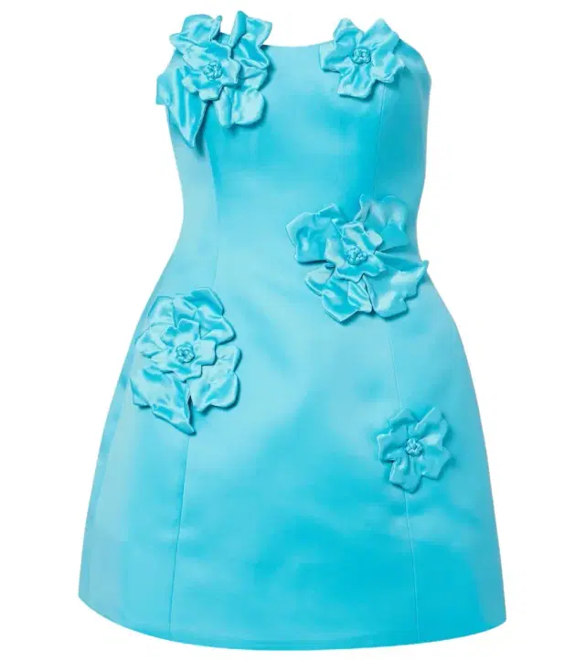 Rosario floral-appliqué bustier dress