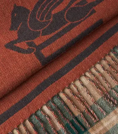 Etro Boyd wool throw | Thumbnail 4