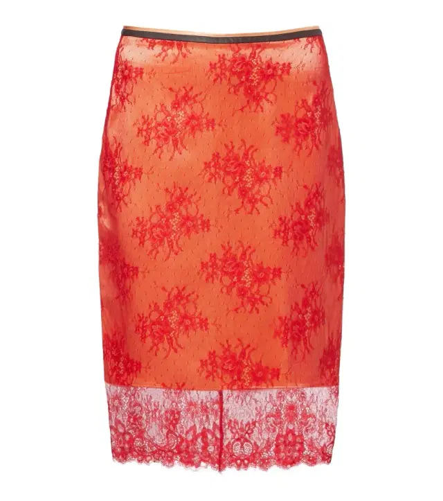 Jacques Wei Embroidered leather-trimmed lace midi skirt