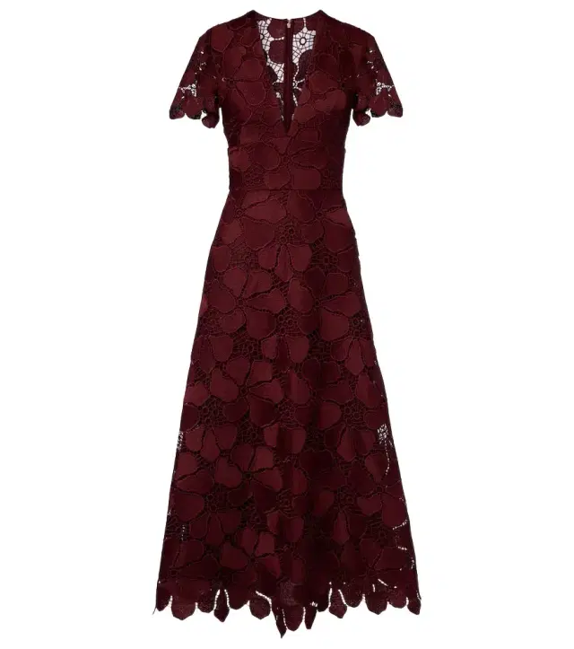 Elie Saab Guipure lace silk-blend maxi dress