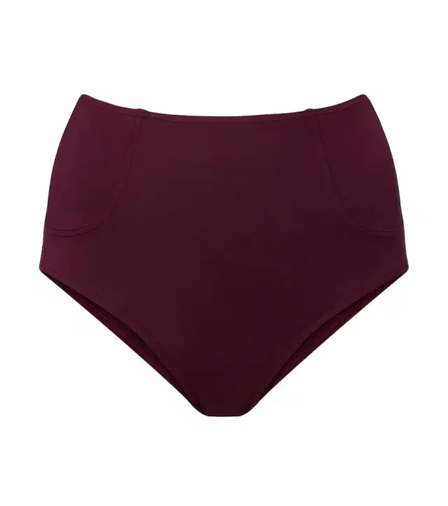 Mister high-rise bikini bottoms
