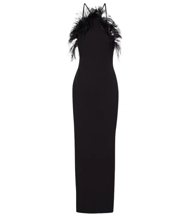 Feather-trimmed gown