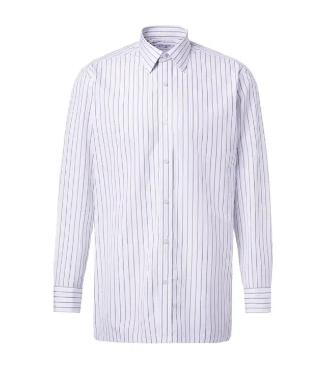Striped cotton poplin shirt