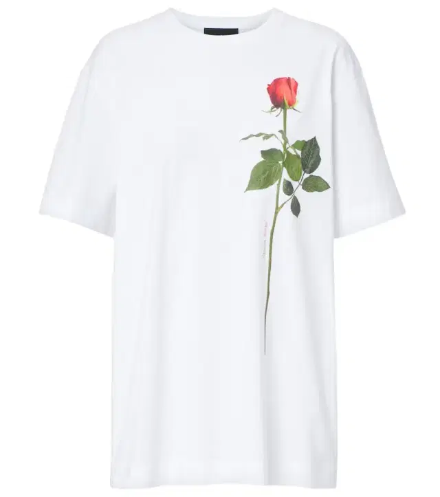 Printed cotton jersey T-shirt