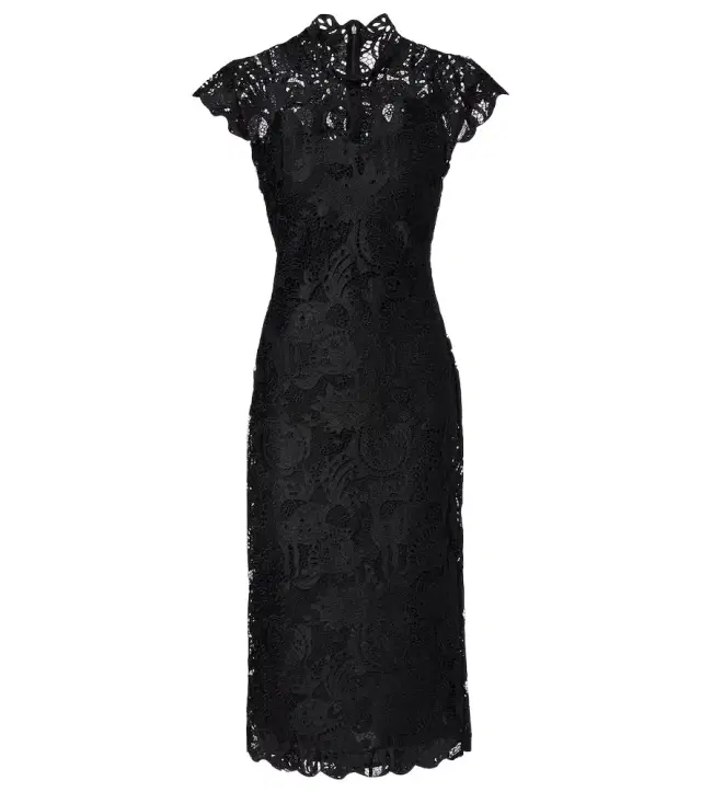 Rosaline guipure lace cocktail dress