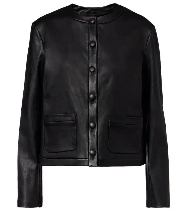 Gabrielle leather jacket