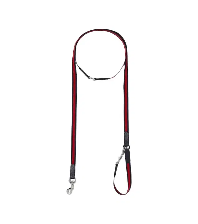 Gucci Web Stripe dog leash