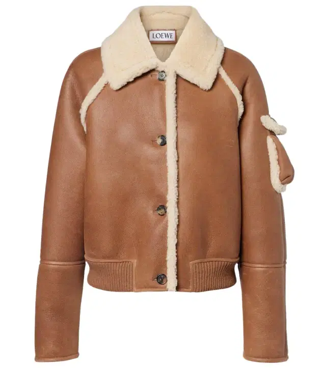 Shearling-trimmed leather blouson