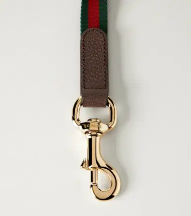 Gucci Web Stripe dog leash | Thumbnail 2