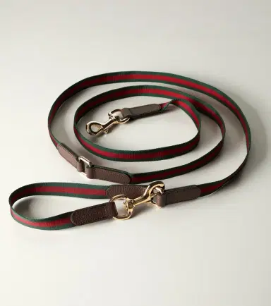 Gucci Web Stripe dog leash | Thumbnail 3