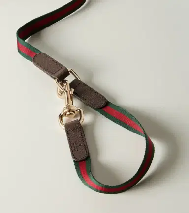 Gucci Web Stripe dog leash | Thumbnail 4