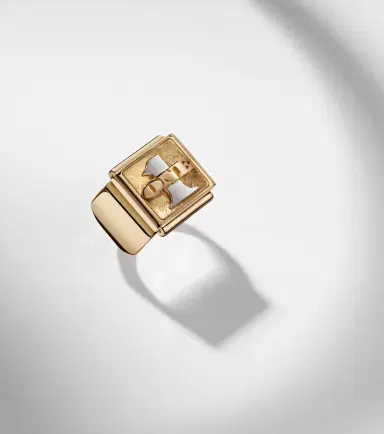 Marie Lichtenberg Buck Small 18kt yellow and white gold ring | Thumbnail 5