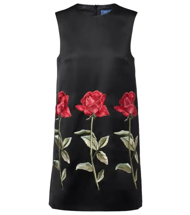 Yvonne floral embroidered minidress