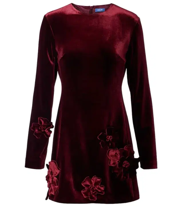 Aliza floral-appliqué velvet minidress