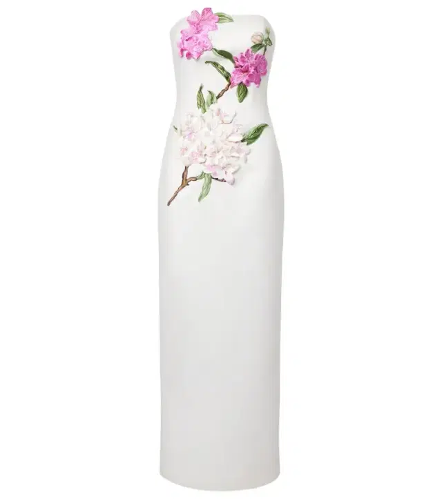 Rayna floral-appliqué bustier dress