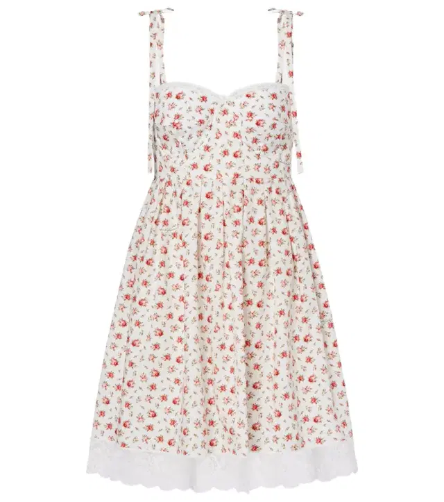 Dolce & Gabbana Floral lace-trimmed cotton-blend poplin minidress