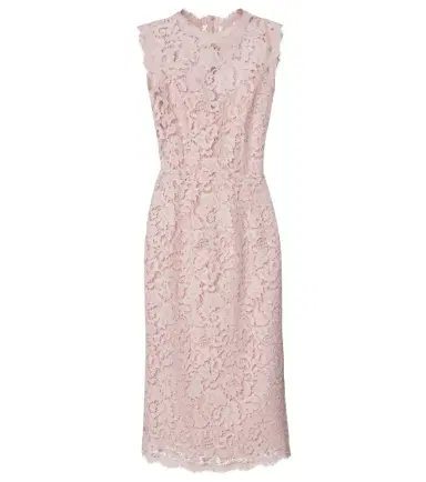 Dolce & Gabbana Cotton-blend lace cocktail dress | Thumbnail 1