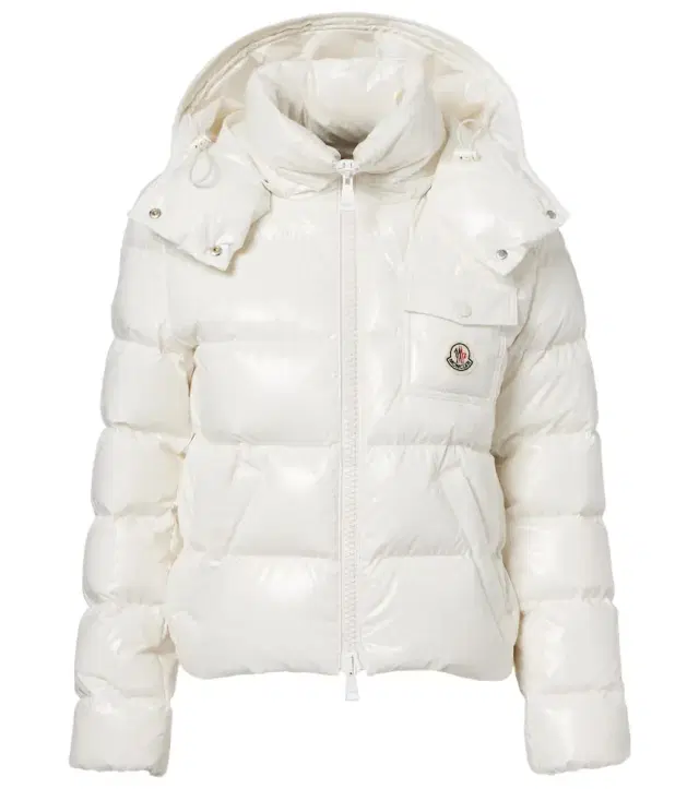Moncler Andro down jacket
