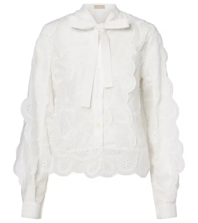 Embroidered tie-neck blouse