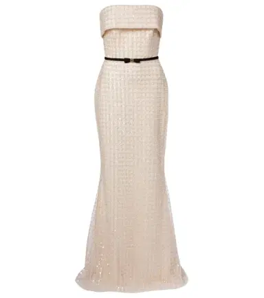 Elie Saab Embellished silk-blend bustier gown | Thumbnail 1
