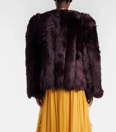 Chloé Chloé Shearling jacket | Thumbnail 4