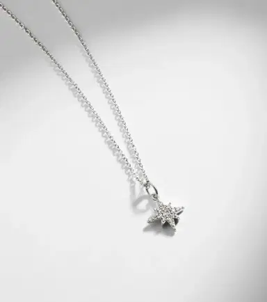 Stone and Strand Northern Star 14kt white gold necklace with diamonds | Thumbnail 5 Stone and Strand Northern Star 14kt white gold necklace with diamonds | Thumbnail 5