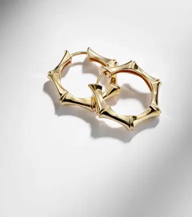STONE AND STRAND 14kt gold earrings | Thumbnail 5