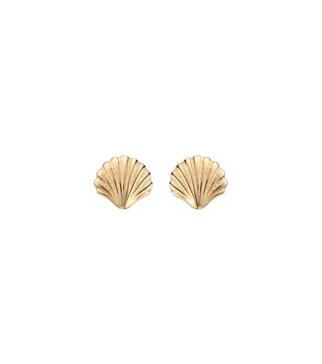 Scallop Shell 14kt gold earrings