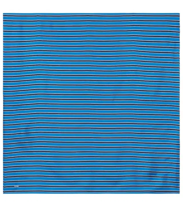 Striped silk scarf
