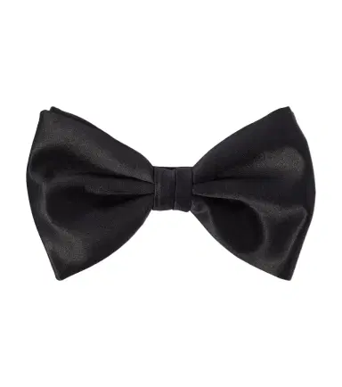 Brioni Essential silk twill bow tie | Thumbnail 1