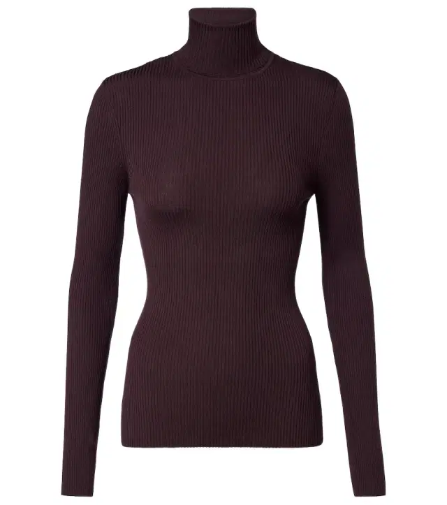 Ribbed-knit virgin wool turtleneck top