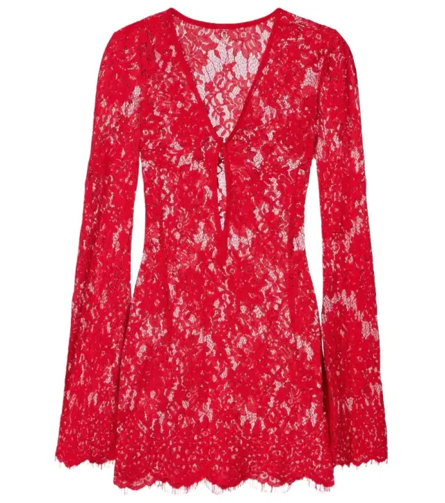 Millie cotton and brocade lace minidress