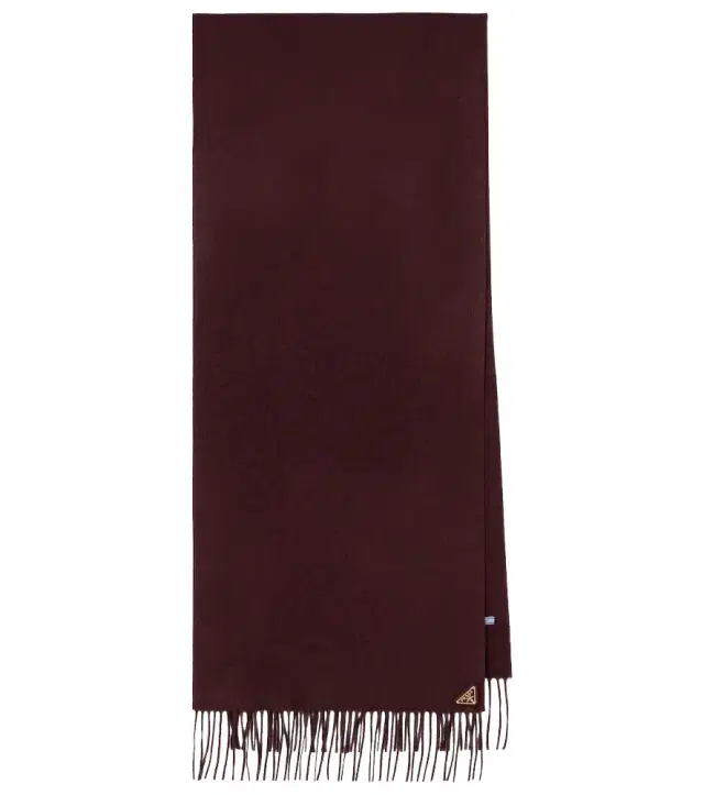 Fringed silk and cashmere scarf