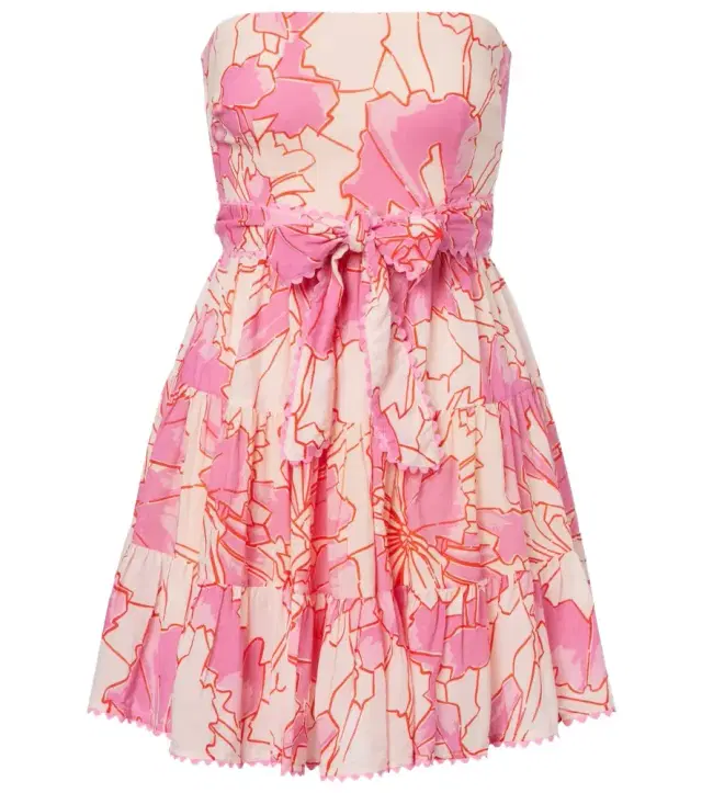 Christine printed cotton minidress