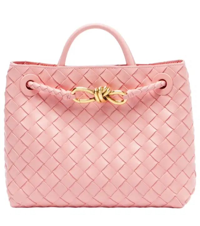 Bottega Veneta Andiamo Small leather top-handle bag
