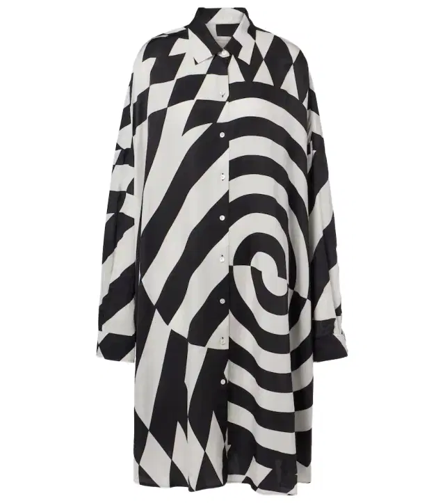 Dries Van Noten Printed shirt dress