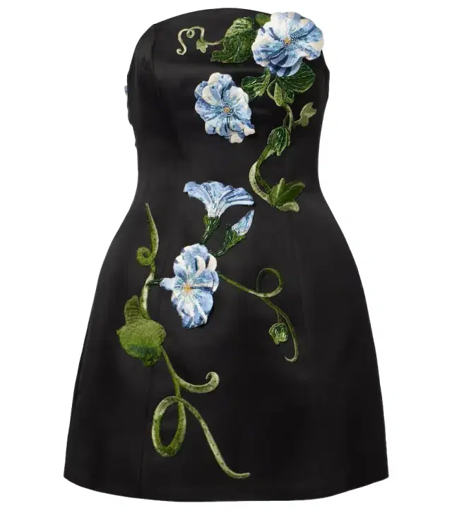 Zaria floral-appliqué bustier dress