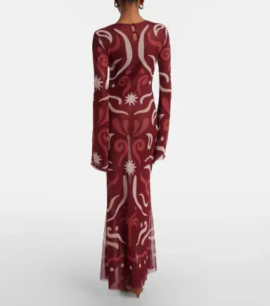 Cala de la Cruz Amay printed mesh maxi dress | Thumbnail 6