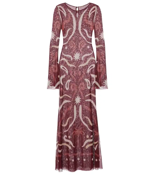 Amay printed mesh maxi dress