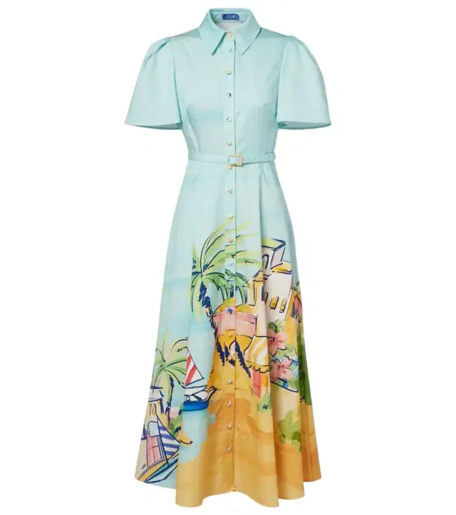 Printed belted cotton shirt dress