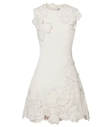 Leo Lin Floral-appliqué minidress | Thumbnail 1