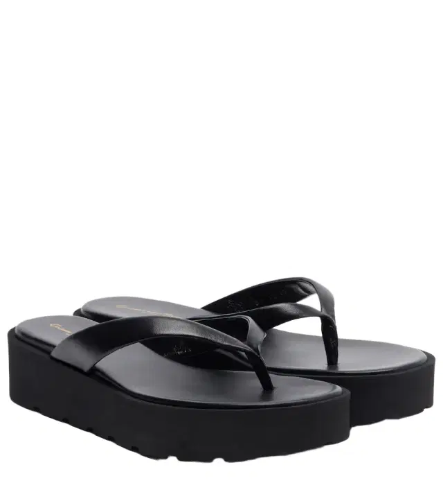Gianvito Rossi Leather platform thong sandals