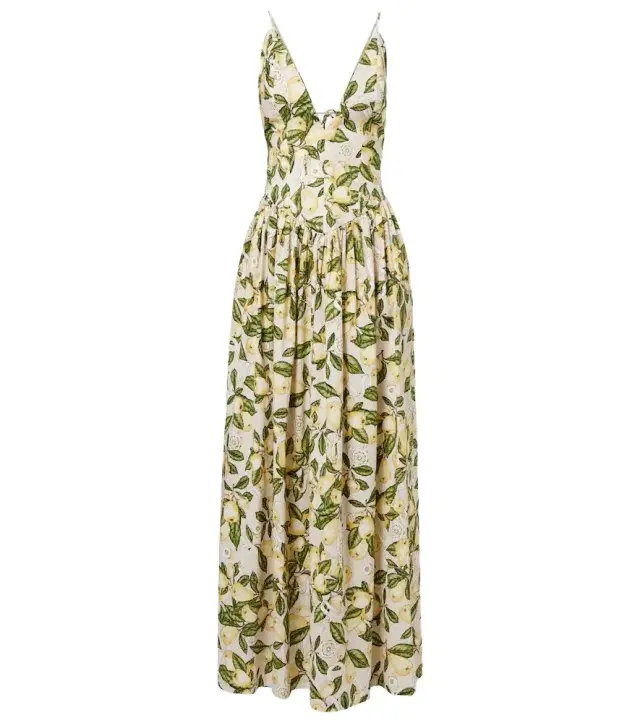 Adriana Degreas Printed cotton-blend maxi dress
