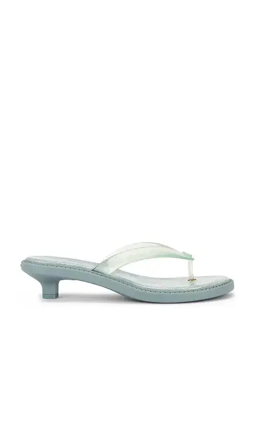 Jelly Flip Flop Sandal