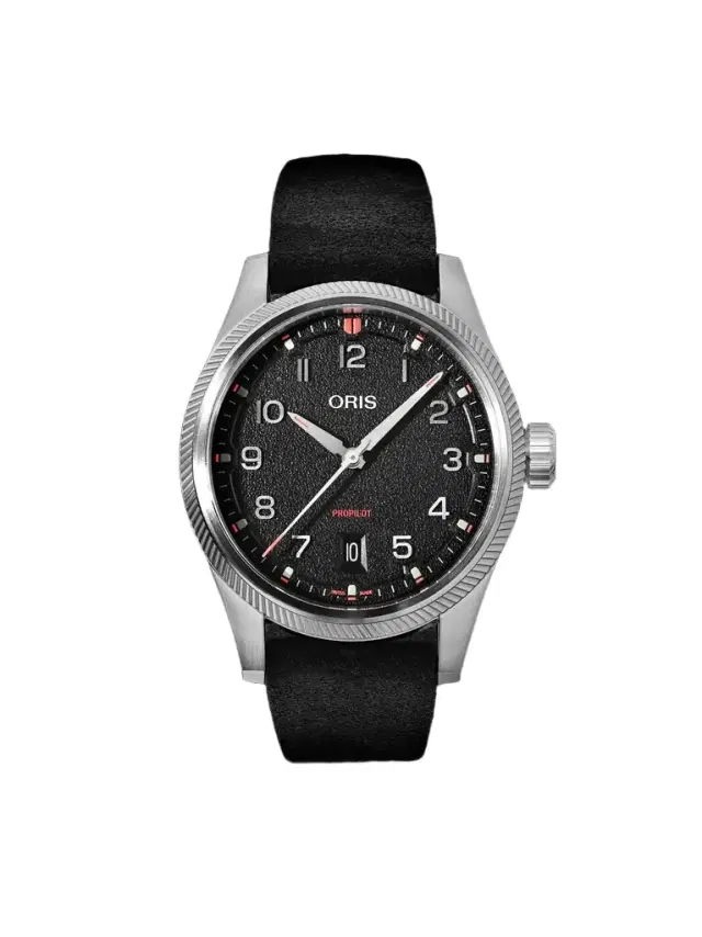 ORIS ProPilot Date Automatic Stainless Steel Watch, Ref. 01 733 7805 4164-07 6 20 04LC - Men