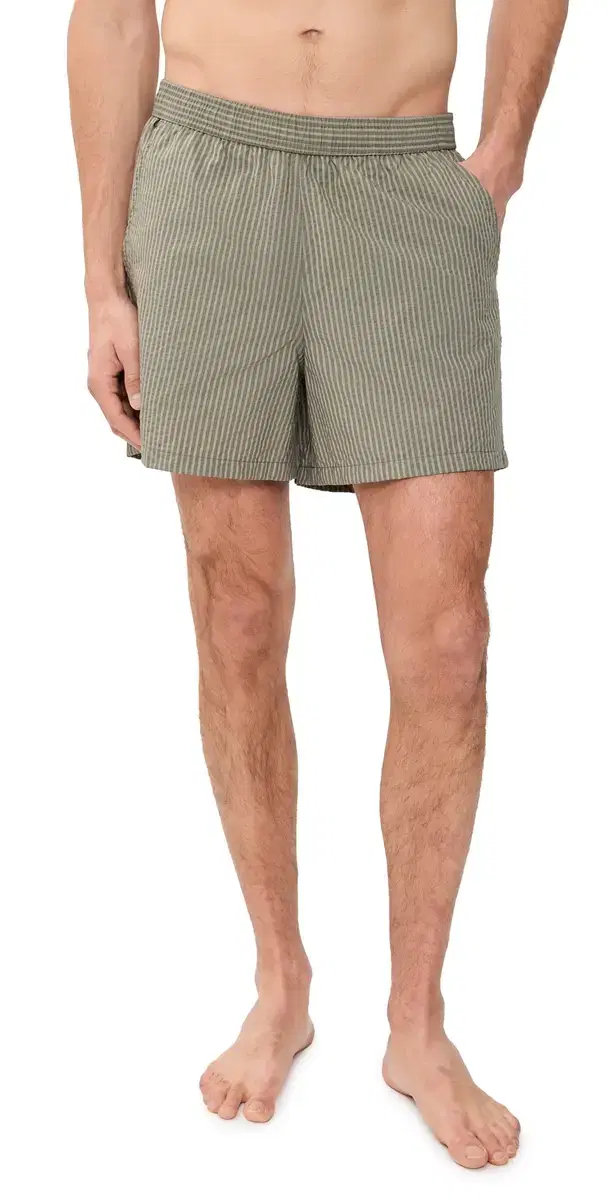 Fossil Seersucker Modern Swim Trunks 5