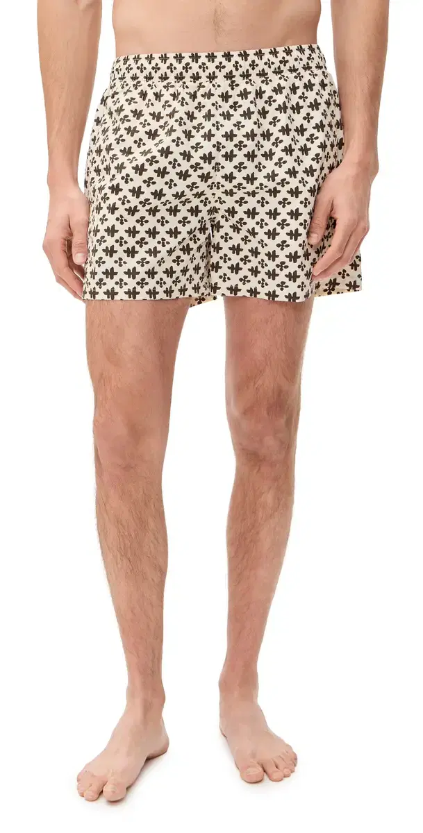 Printed ebastian wim Trunks 4 Relic/altstone