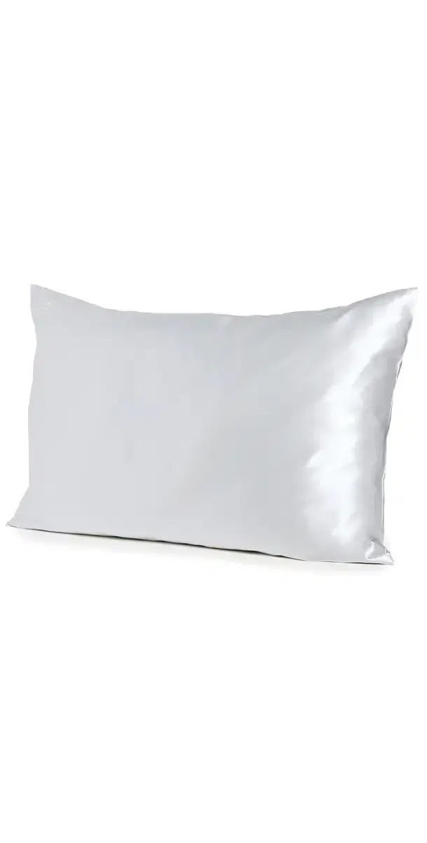 Slip Pure Silk Queen Pillowcase Silver One Size